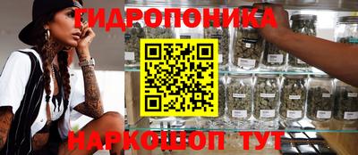 сатива Сланцы