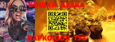 сатива Сланцы