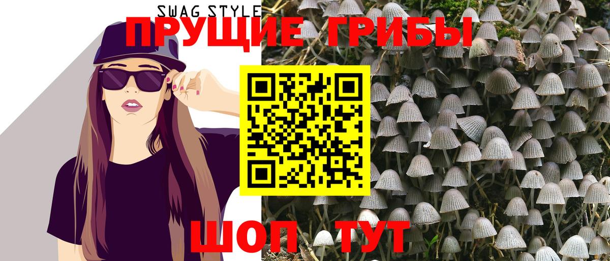 Галлюциногенные грибы Psilocybe  Галлюциногенные грибы GOLDEN TEACHER  где можно купить   Норильск  Вход с VPN 